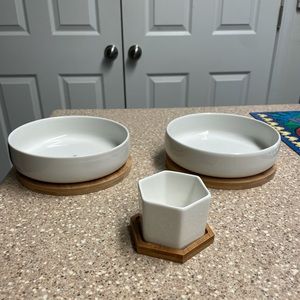 Shallow plant pottery